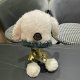 Moncler Beanies AAA (40)