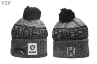 NFL Oakland Raiders Beanies (140)