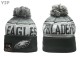 NFL Philadelphia Eagles Beanies (89)
