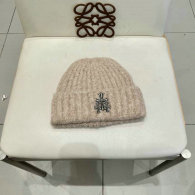 Chrome Hearts Beanies AAA (110)