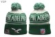 NFL Philadelphia Eagles Beanies (87)