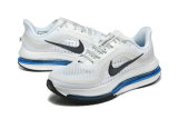 Nike Pegasus Premium SE 2025 (7)