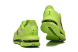 Nike Pegasus Premium SE 2025 (4)