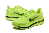 Nike Pegasus Premium SE 2025 (4)