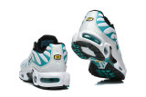 Nike Air Max Plus TN Shoes (76)