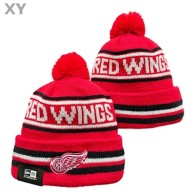 NHL Detroit Red Wings Beanies (1)