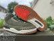 Authentic Air Jordan 3 “Family Affair”