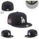 Los Angeles Dodgers 59FIFTY Hat (224)