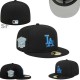 Los Angeles Dodgers 59FIFTY Hat (221)