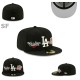 Los Angeles Dodgers 59FIFTY Hat (230)