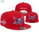 NHL Washington Capitals Snapback Hat (2)
