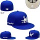 Los Angeles Dodgers 59FIFTY Hat (237)