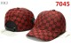 Gucci Snapback Hat (18)
