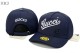 Gucci Snapback Hat (36)