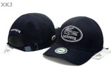 Lacoste Snapback Hat (44)
