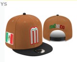 Mexico Snapback Hat (35)