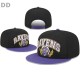 NFL Baltimore Ravens Snapback Hat (176)