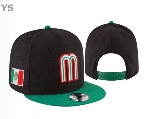 Mexico Snapback Hat (38)