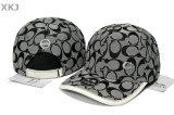 Coach Snapback Hat (7)