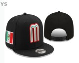 Mexico Snapback Hat (36)