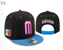Mexico Snapback Hat (37) Mexico Snapback Hat (37)