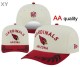 NFL Arizona Cardinals Snapback Hat (3)