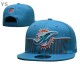 NFL Miami Dolphins Snapback Hat (21)