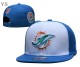 NFL Miami Dolphins Snapback Hat (12)
