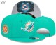NFL Miami Dolphins Snapback Hat (40)