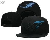 NFL Miami Dolphins Snapback Hat (44)