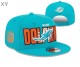 NFL Miami Dolphins Snapback Hat (41)