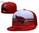 NFL Arizona Cardinals Snapback Hat (12)