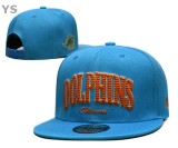 NFL Miami Dolphins Snapback Hat (11)
