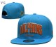 NFL Miami Dolphins Snapback Hat (11)