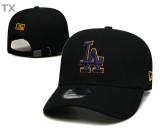 MLB Los Angeles Dodgers Snapback Hat (601)