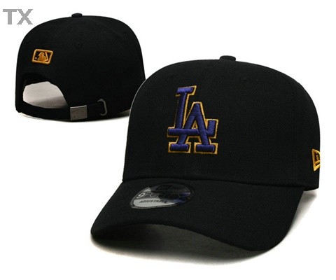 MLB Los Angeles Dodgers Snapback Hat (601)