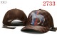 LV Snapback Hat (8)