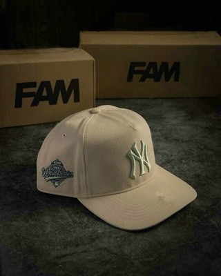 MLB New York Yankees Snapback Hat (137)