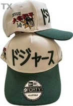 MLB Los Angeles Dodgers Snapback Hat (535)