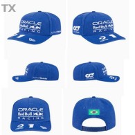 Red Bull Snapback Hat (69)