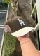 MLB Los Angeles Dodgers Snapback Hat (554)