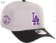 MLB Los Angeles Dodgers Snapback Hat (576)