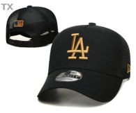 MLB Los Angeles Dodgers Snapback Hat (595)