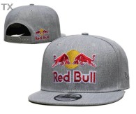 Red Bull Snapback Hat (54)
