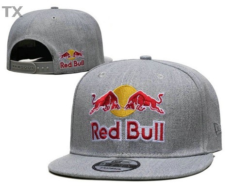 Red Bull Snapback Hat (54)