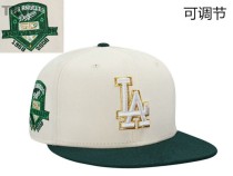 MLB Los Angeles Dodgers Snapback Hat (573)