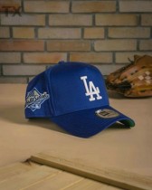 MLB Los Angeles Dodgers Snapback Hat (571)