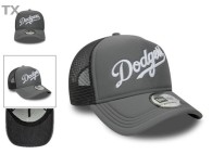 MLB Los Angeles Dodgers Snapback Hat (531)