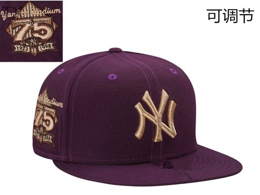 MLB New York Yankees Snapback Hat (145)