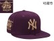 MLB New York Yankees Snapback Hat (145)